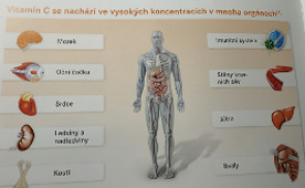 uvodni